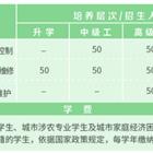 电气化自动系
